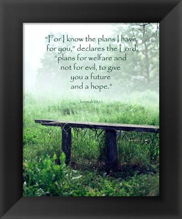 Framed Jeremiah 29:11 For I know the Plans I have for You (Wooden Bench) Print