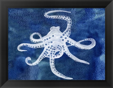 Framed Cephalopod II Print