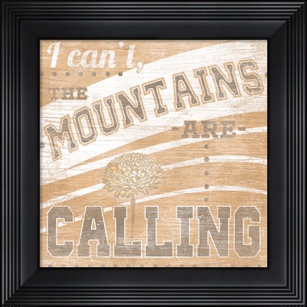 Framed Lodge Life IV Print