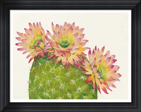 Framed Desert Blossoms I Print