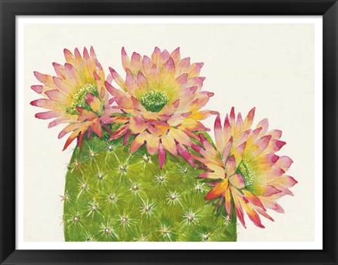 Framed Desert Blossoms I Print