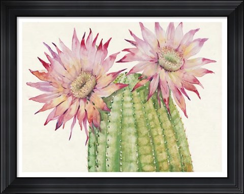 Framed Desert Blossoms II Print