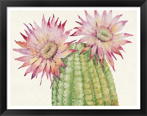 Framed Desert Blossoms II Print