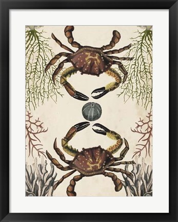 Framed Antiquarian Menagerie - Crab Print