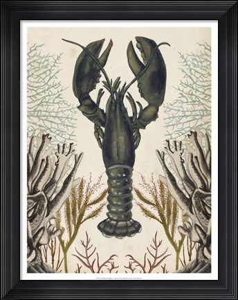 Framed Antiquarian Menagerie - Lobster Print