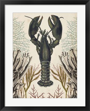 Framed Antiquarian Menagerie - Lobster Print