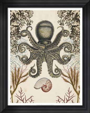 Framed Antiquarian Menagerie - Octopus Print