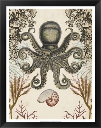 Framed Antiquarian Menagerie - Octopus Print