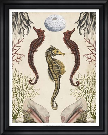 Framed Antiquarian Menagerie - Seahorse Print