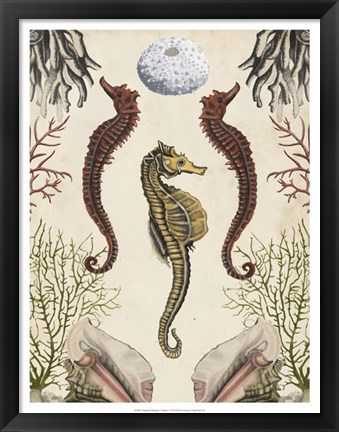 Framed Antiquarian Menagerie - Seahorse Print