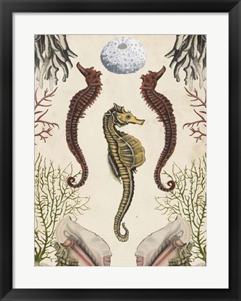 Framed Antiquarian Menagerie - Seahorse Print