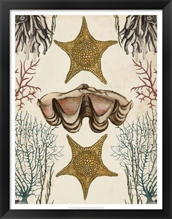 Framed Antiquarian Menagerie - Starfish Print