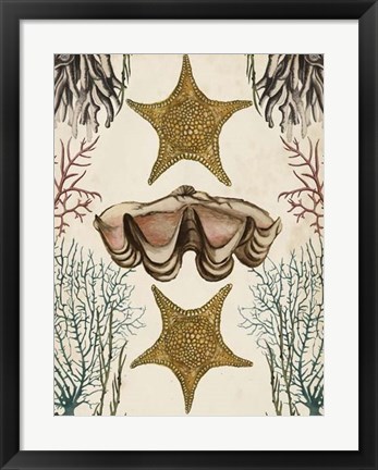 Framed Antiquarian Menagerie - Starfish Print