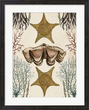 Framed Antiquarian Menagerie - Starfish Print