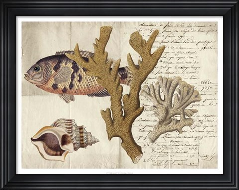 Framed Sealife Journal I Print