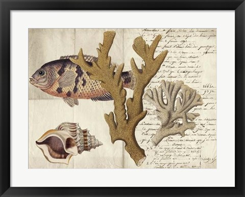 Framed Sealife Journal I Print