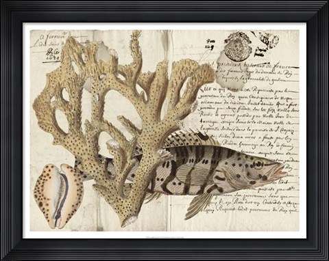 Framed Sealife Journal II Print