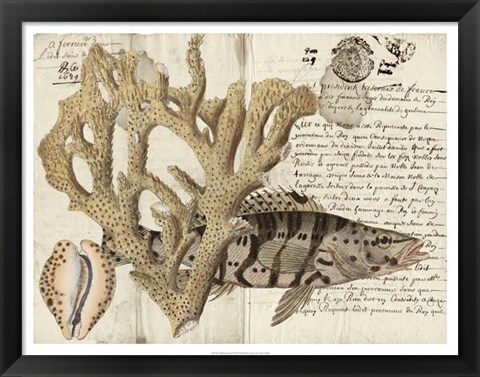 Framed Sealife Journal II Print