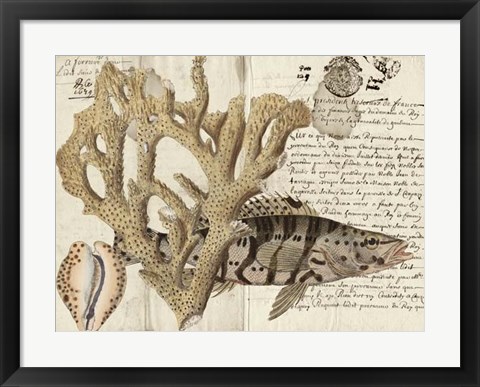 Framed Sealife Journal II Print