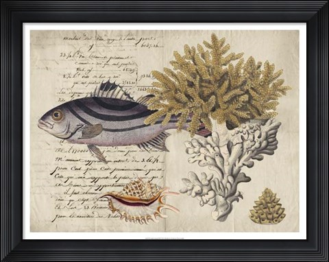 Framed Sealife Journal III Print