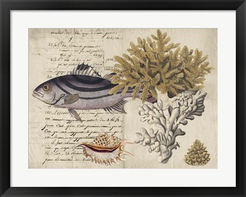 Framed Sealife Journal III Print