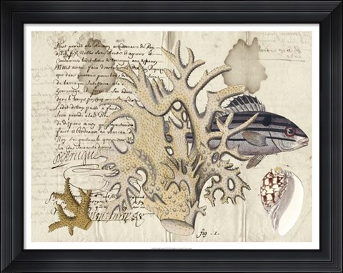 Framed Sealife Journal IV Print