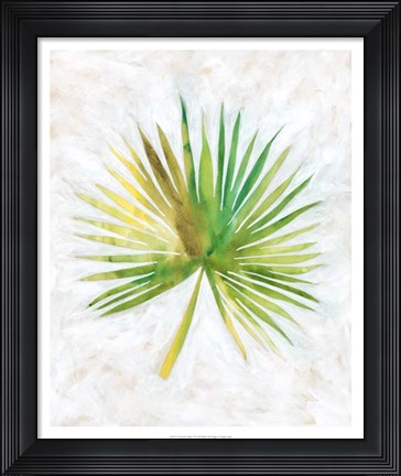 Framed Ocean Side Palms  II Print