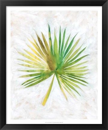 Framed Ocean Side Palms  II Print