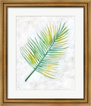 Framed Ocean Side Palms  IV Print