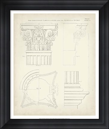 Framed Greek &amp; Roman Architecture I Print