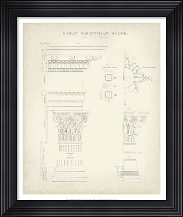 Framed Greek &amp; Roman Architecture II Print