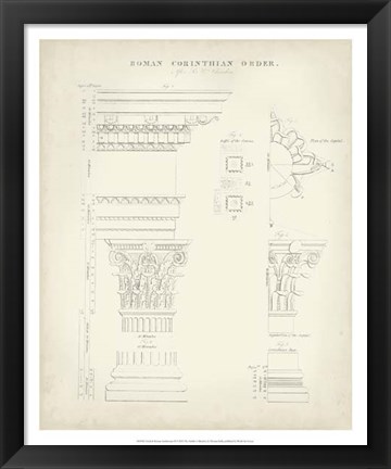 Framed Greek &amp; Roman Architecture II Print