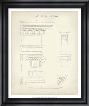Framed Greek &amp; Roman Architecture V Print