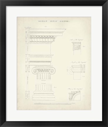 Framed Greek &amp; Roman Architecture V Print