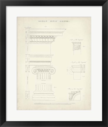 Framed Greek &amp; Roman Architecture V Print