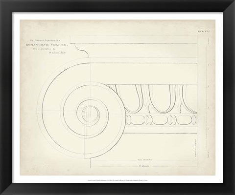 Framed Greek &amp; Roman Architecture VII Print