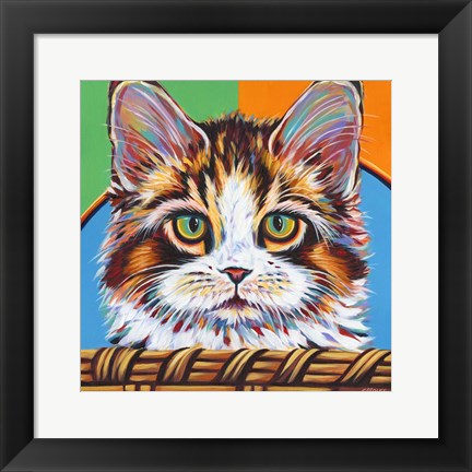 Framed Kitten in Basket II Print