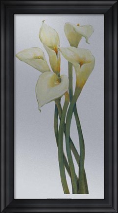 Framed Callas on Silver I Print