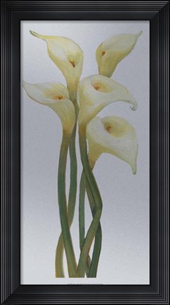 Framed Callas on Silver II Print