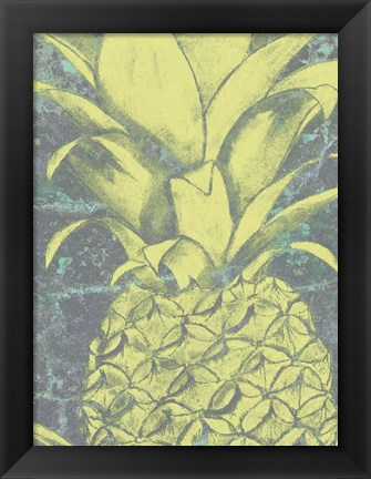 Framed Kona Pineapple II Print