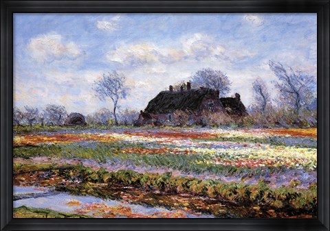 Framed Tulip Fields at Sassenheim Print