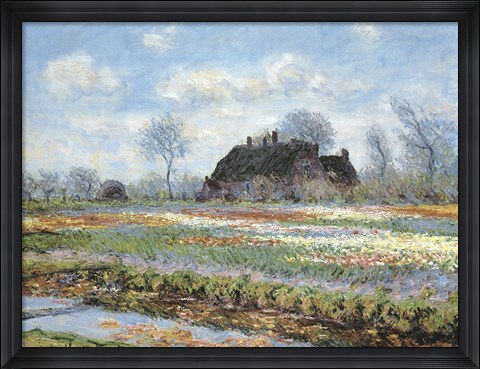 Framed Tulip Fields at Sassenheim Print