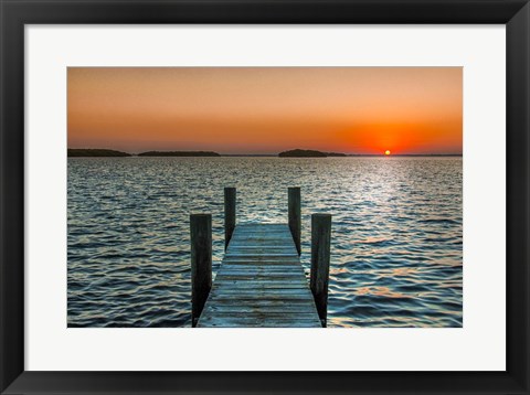 Framed Morning Glory Print