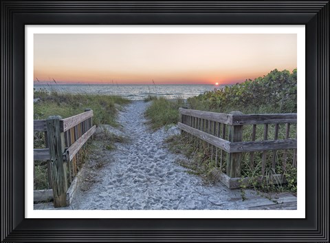 Framed Evening Walk Print