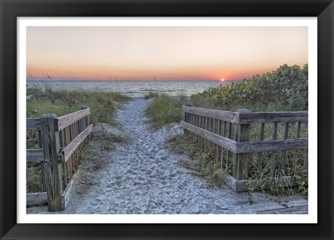 Framed Evening Walk Print