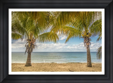 Framed Twin Palms Print
