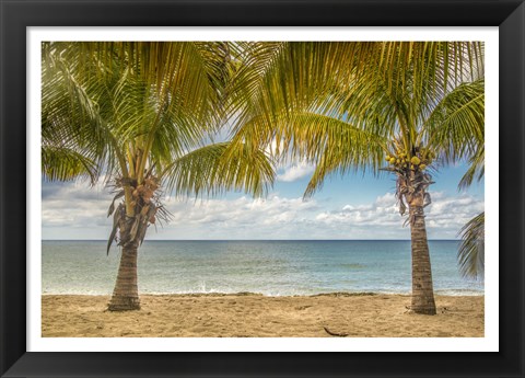 Framed Twin Palms Print