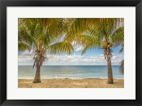 Framed Twin Palms Print