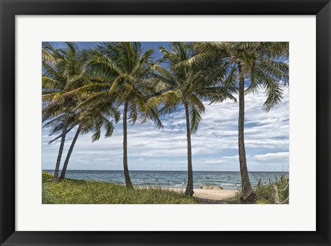 Framed Beach Palms Print