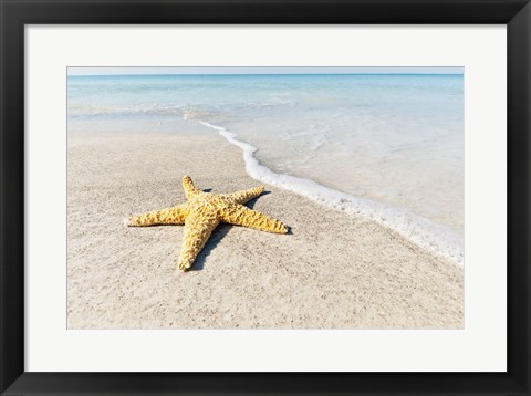 Framed Star Fish Line of Surf Print